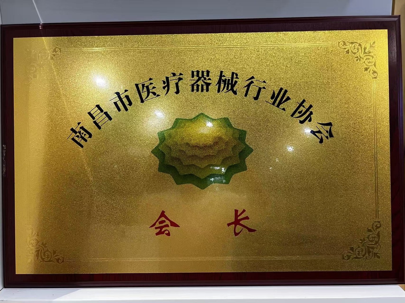 南昌市医疗器械行业协会会长牌匾